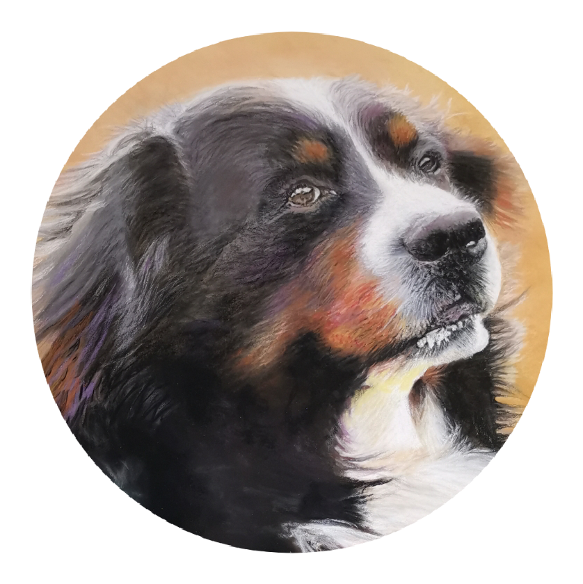 N'afficher que le pastel